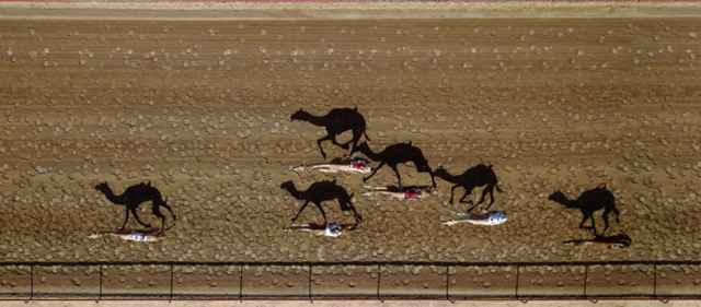 Vertical Racing