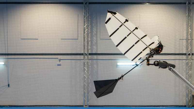 robot alado ornitóptero
