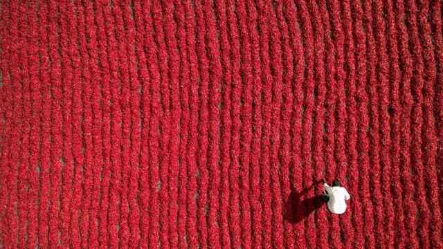 agricultor en India