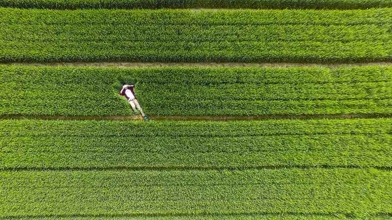 campos cerca de la presa Siwei en Shandong, China