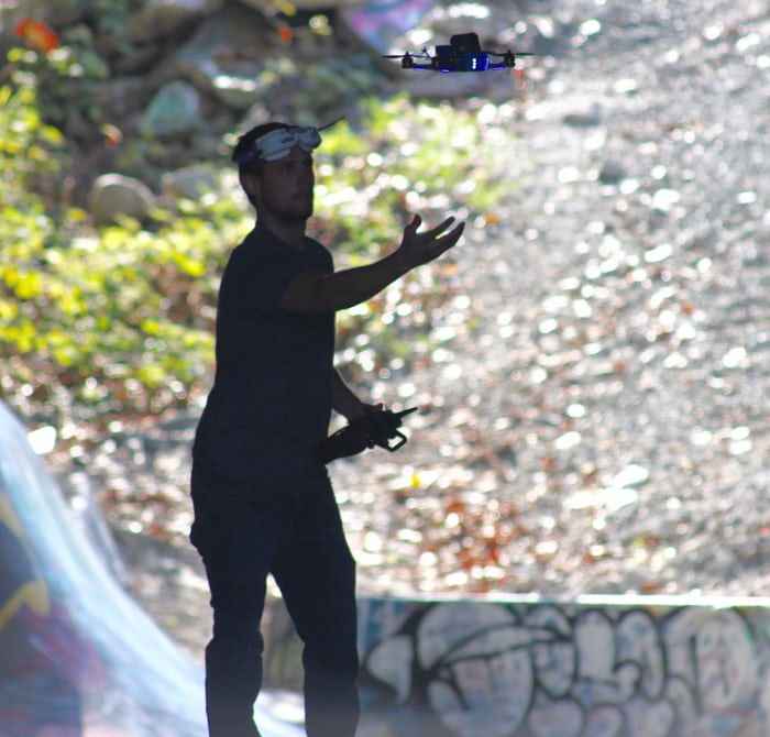 Draco volando