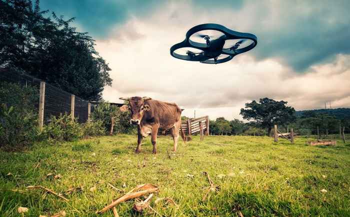 drone vaca